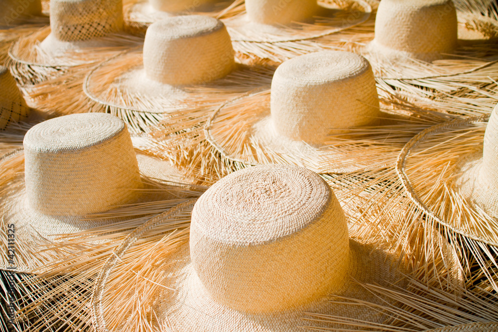 L&rsquo;Histoire du chapeau de paille panama